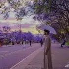 سيارات للإيجار يومي - شهري - سنوي بدون سايق مطابق لتطبيقات