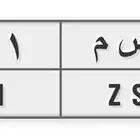 لوحة ( حسم 1511) للبيع اوراقها مجددة