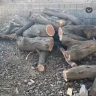 خشب مستورد صامل وممتاز