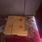 فقاسه 98 بيضه جديده