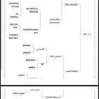 حصان واهو
