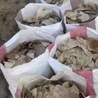 خبز ناشف للحلال