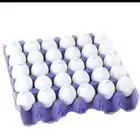 بيض براهما كولمبي أصل