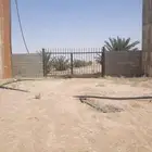 مزرعة للبيع في المجمعة عليها ترخيص لاحم موقع مميز