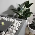 حجر زينه للحدائق والممرات والاحواض الزراعيه