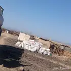 دمن غنم للبيع نضيف 100
