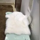 طاولة
