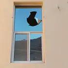 مطلوب فني المنيوم لتغيير زجاج