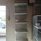 للبيع اقفاص مستعمل