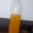 سمن بقر صافيي..