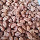 يتوفر لدينا تمر خلاص