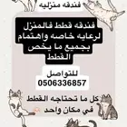 كل ما تحتاجه القطط
