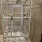 قفص اخو الجديد.