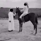 حصان مشروك