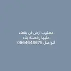 مطلووو  ب