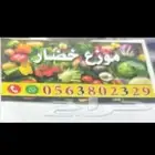 توريد وتوزيع خضار ومواد غذائية وبلاستيك داخل جدة وخارج جدة