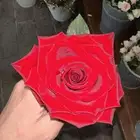 منسق ورد في الرياض