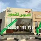 ايجار بلونه راقصه بلونه الشيف ليزر اضاءه افتتاح محل
