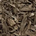 عود مروكي حي غابة آصقون