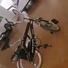 للبيع رامبو اندلوسي مقاس 20 لابوجد فيه عيوب