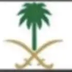 لوحات سيارات فرديه مميزه