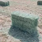 اعلاف بلوبنك
