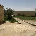 فندقة كلاب وقطط