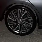 جنوط التيما