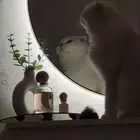 قطة سكوتش فولد