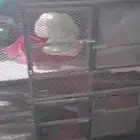 للبيع محكر حديد اربع خانات