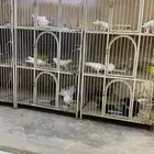 للبيع مجموعه محاكر وثلاث شبوك