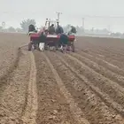 بذاره بطاطس للايجار