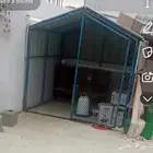 شيك