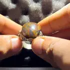 خاتم عقيق يمني مزعفر 200 عرض خاص