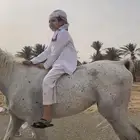 حصان ضايع