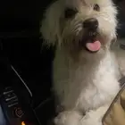 الخبر