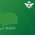 أميال فرسان