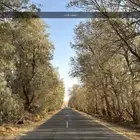 مطلوب قلابات وفنيين