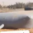 راوية مياه