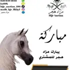 تم البيع احصان شعبي
