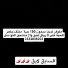 متوفر سمون دخل للبيع