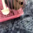 طير روز اليف وهدد