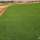 ثيل الخرج