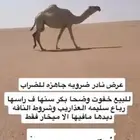ضروبه للبيع