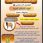 ذبايح بلدي ع الشرط (ويوجد خدمة الذبح والتوصيل مجانا
