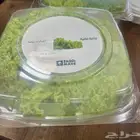 خس لولو بيوندا