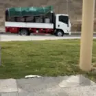 دينه ايسوزو للبيع 2023