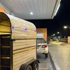 نقل خيل