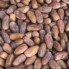 بيعه سريعه دقلة نور   سعر منافس