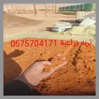 تربه زراعية وطين زراعي